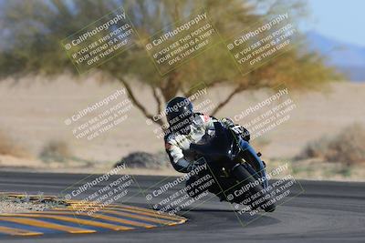 media/Feb-04-2023-SoCal Trackdays (Sat) [[8a776bf2c3]]/Turn 4 (Tree of Life 2pm)/